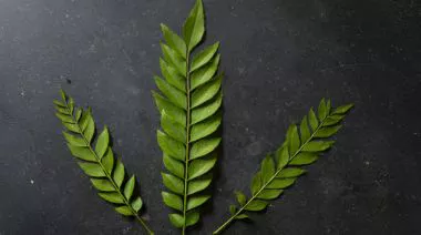 garnishing-instructions-image